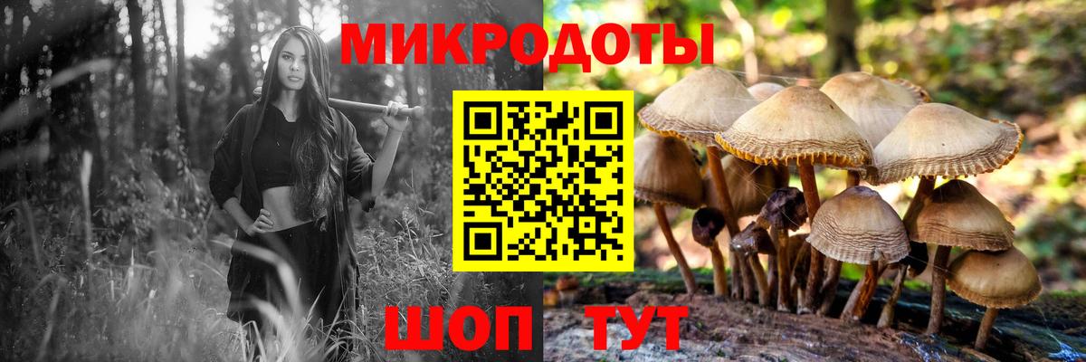 Псилоцибиновые грибы Psilocybine cubensis Дмитров