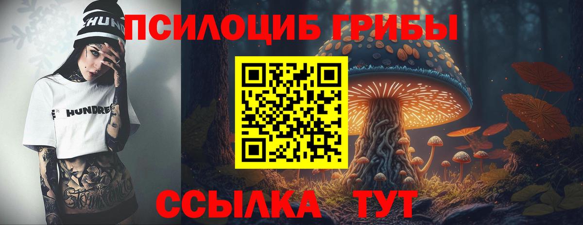 Псилоцибиновые грибы прущие грибы  Псилоцибиновые грибы GOLDEN TEACHER  Дмитров  наркошоп  Вход с VPN 